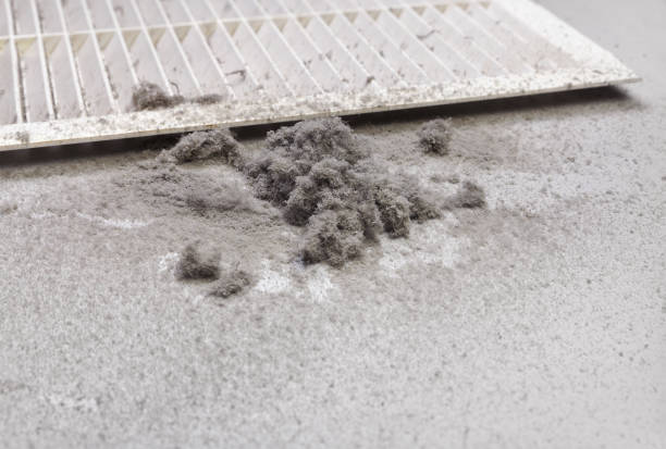 Best Air Duct Cleaning Cost  in Iceville, AL