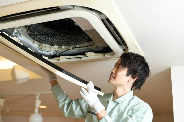 Best Air Vent Cleaning Services  in Iceville, AL