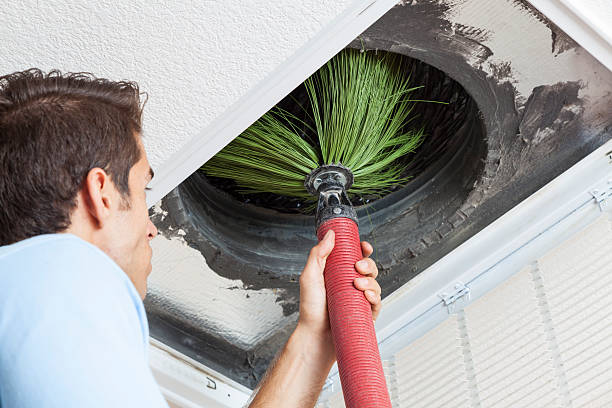Best Emergency Air Duct Cleaning  in Iceville, AL
